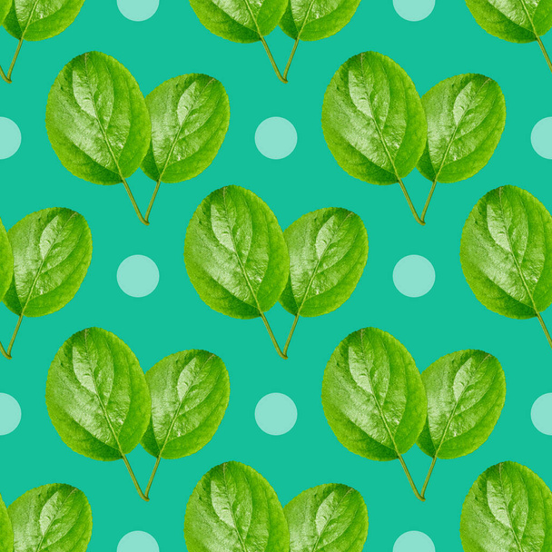 Green leaves on a turquoise background. Seamless pattern for design of clothes, printing on paper for packaging - Photo, Image