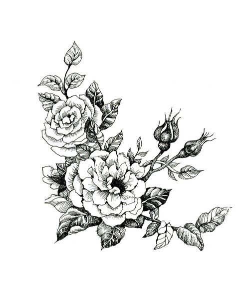 Watercolor flowers illustration - Foto, afbeelding