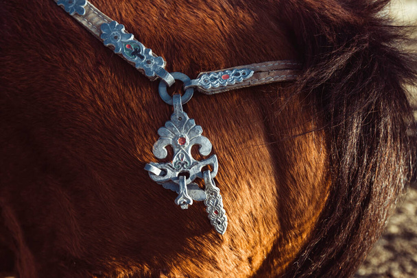 Harnais de cheval mongol traditionnel gros plan sur un cheval.   - Photo, image