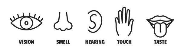 Minimalne ikony sensów. Oko w nosie, ucho, znak czucia języka dłoni. Wektor zmysłowy prosty znak - Wektor, obraz