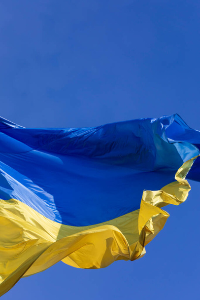 Κρατική μπλε και κίτρινη σημαία της Ουκρανίας στο πάρκο σε ένα κοντάρι σημαίας ενάντια στον ουρανό - Φωτογραφία, εικόνα