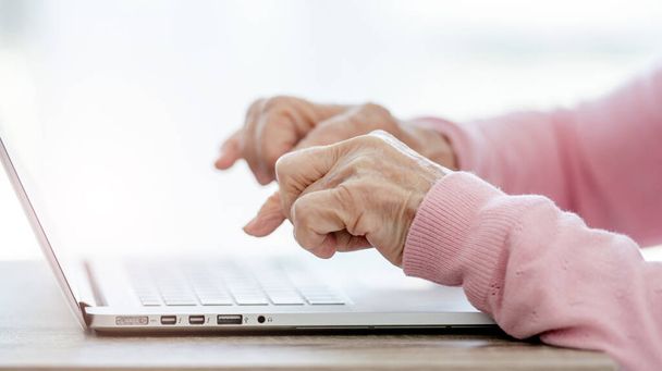 Senior woman with laptop - 写真・画像