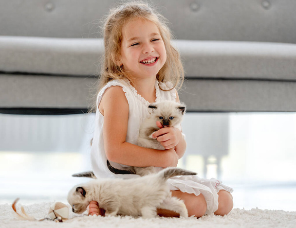 Girl painting with ragdoll kittens - Foto, afbeelding