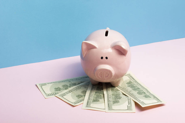 Piggy bank and dollar cash money. Business, finance, investment, saving and corruption concept. - Valokuva, kuva
