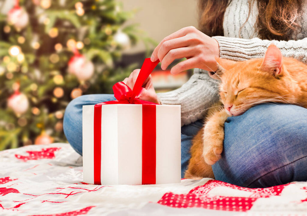 woman sitting on bed with ginger cat opens christmas gifts - Photo, Image