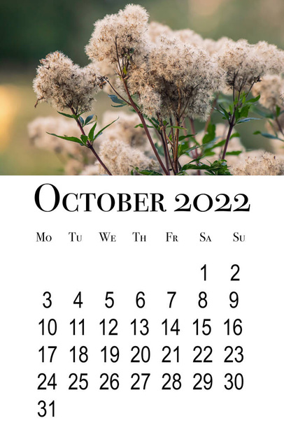 Karta kalendarzowa na październik 2022. Kalendarz pionowy do druku, tydzień zaczyna się w poniedziałek. - Zdjęcie, obraz