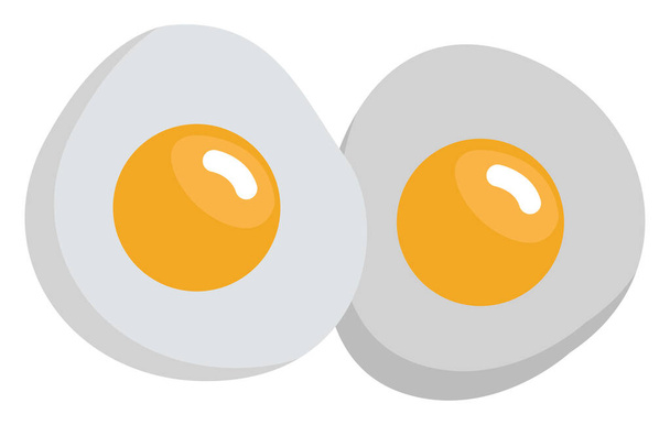 Twee gebakken eieren, illustratie, vector, op een witte achtergrond. - Vector, afbeelding