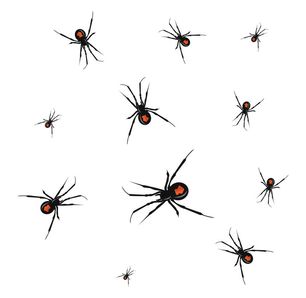 Araña viuda negra, ilustración, vector sobre fondo blanco. - Vector, imagen