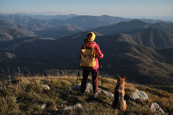 Panoramic view of autumn nature and human. Female traveler in red jacket with yellow backpack stands with back turned and looks at mountains with German Shepherd. Travel in mountains with dog. - Photo, Image