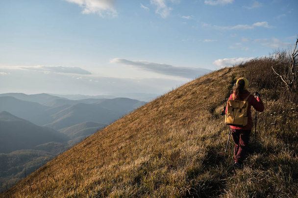 Female traveler walks along narrow path on top of mountain among tall yellow dry grass. Trekking route in national park. Walk above clouds with backpack and sticks. - Photo, Image