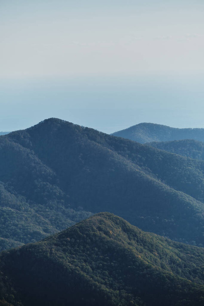 Гірські ліси та море можна побачити на горизонті на відстані. Вид на гірський ліс і море. Вертикальний зберігач природних екранів. Мінімалізм
. - Фото, зображення