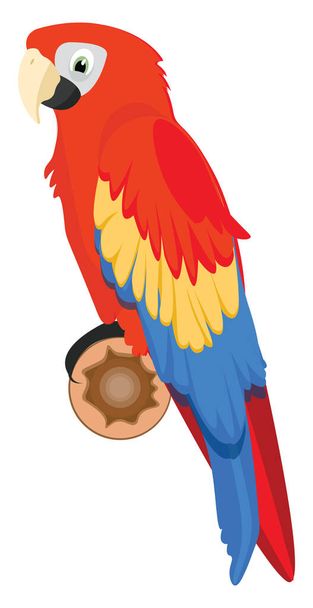 Jungle Papagei, Illustration, Vektor auf weißem Hintergrund. - Vektor, Bild