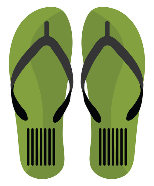 Beach slippers, illustration, vector on a white background. - Vector, Image