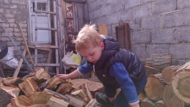Garçon grimpe le bois - Séquence, vidéo
