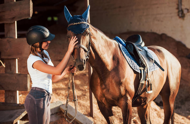 Animal is in blue clothes. Horsewoman in uniform and black protective helmet with her horse. - Φωτογραφία, εικόνα