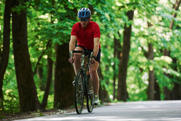 Running forward. Cyclist on a bike is on the asphalt road in the forest at sunny day. - 写真・画像