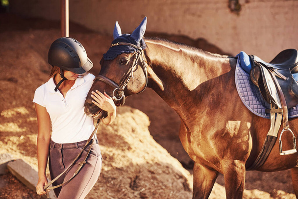 Cheerful mood. Horsewoman in uniform and black protective helmet with her horse. - Fotó, kép