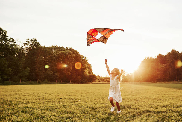 Happy childhood. Happy girl in white clothes have fun with kite in the field. Beautiful nature. - Fotó, kép