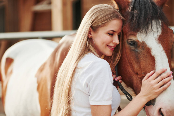 Cheerful mood. Happy woman with her horse on the ranch at daytime. - Foto, imagen