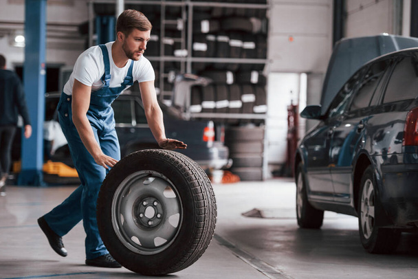 Man with beard rolls tire. Employee in the blue colored uniform works in the automobile salon. - Fotoğraf, Görsel