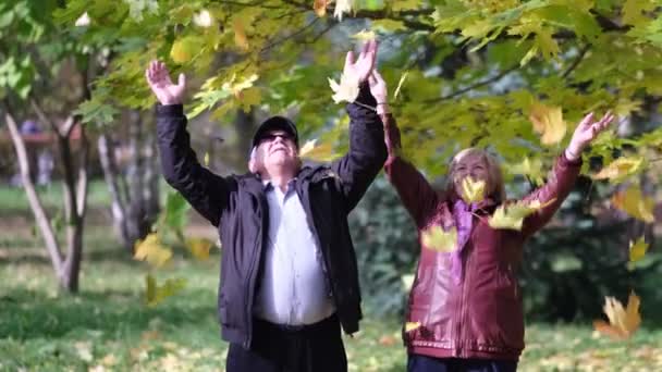 пожилая пара наслаждается бесплатным парком и играет с листьями в осеннем лесу - Кадры, видео