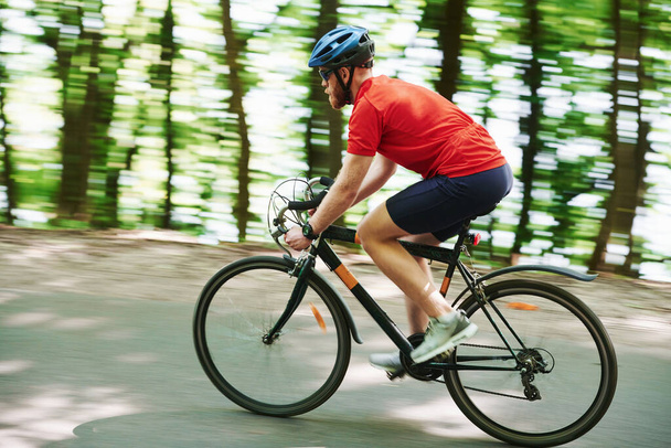Blurred background. Cyclist on a bike is on the asphalt road in the forest at sunny day. - Photo, image