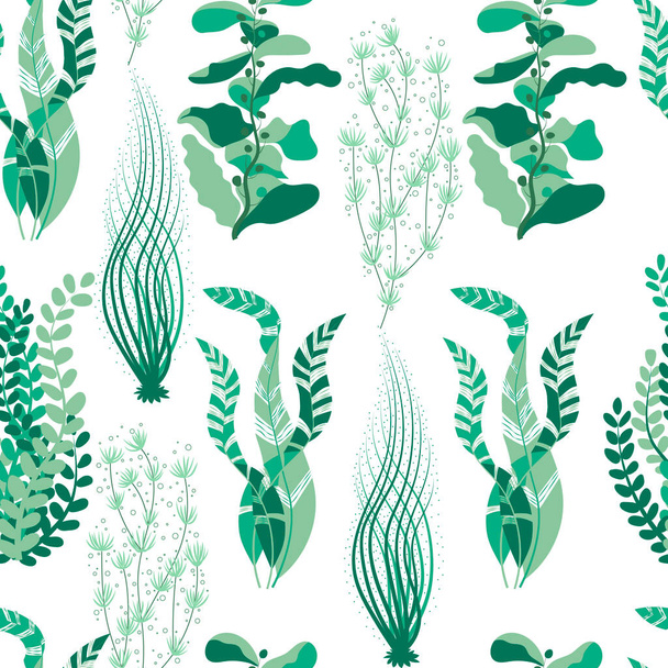 patrón con algas verdes largas  - Vector, Imagen