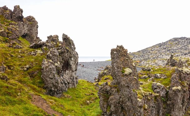 Antiguo campo de lava cubierto de musgo verde, al oeste de Islandia - Foto, Imagen