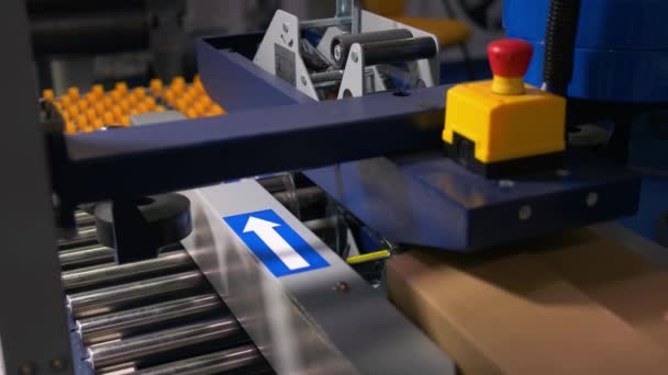Cardboard box on the industrial conveyor line. - Footage, Video