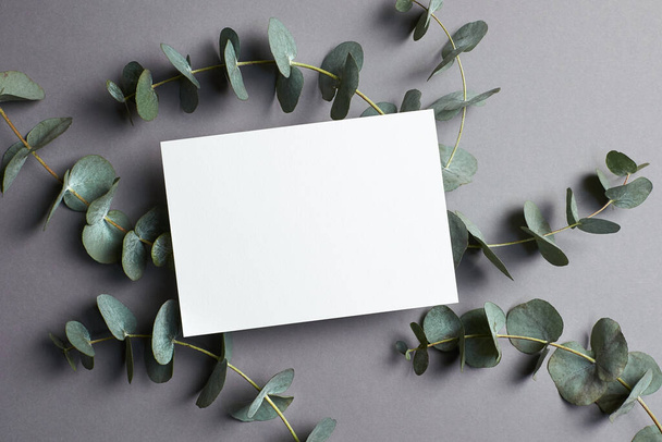 Uitnodiging of wenskaart mockup met eucalyptus twijgen. Blanco kaart mockup op grijze achtergrond. - Foto, afbeelding