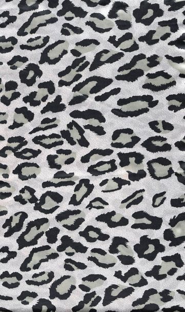 Luxury leopard background. Animal print. Cheetah print. High quality photo - Photo, Image