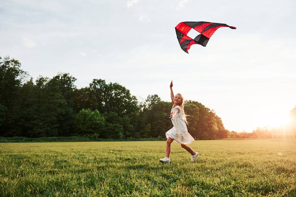 Horizontal photo. Happy girl in white clothes have fun with kite in the field. Beautiful nature. - 写真・画像