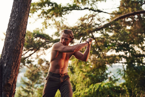 Process of cutting the tree by using the axe. Handsome shirtless man with muscular body type is in the forest at daytime. - Foto, immagini