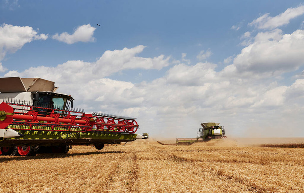Large combine harvesters working in agriculturic field at summertime. - 写真・画像