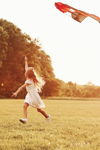 Vertical photo. Happy girl in white clothes have fun with kite in the field. Beautiful nature. - Foto, Bild