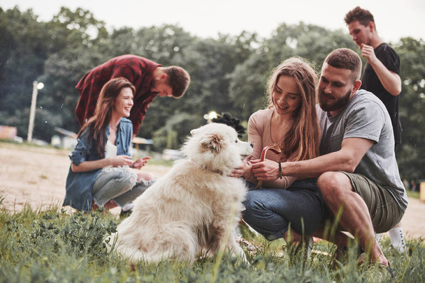 Happy owners of cute dog. Group of people have picnic on the beach. Friends have fun at weekend time. - Fotografie, Obrázek
