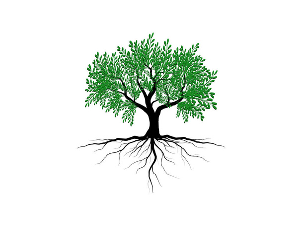 Tree and roots with green leaves look beautiful and refreshing. Tree and roots LOGO style. - Vector, Image