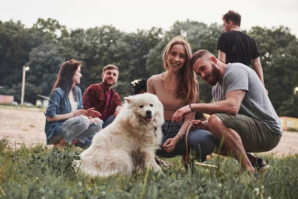 Dog looks into the camera. Group of people have picnic on the beach. Friends have fun at weekend time. - Zdjęcie, obraz