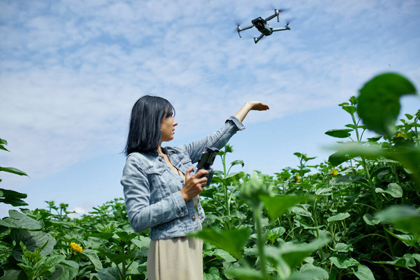 Mujer joven aprendiendo a pilotar su dron, hembra usando, pilotando, volar drone en el campo de girasoles, verano, agricultura. - Foto, imagen