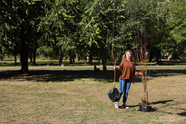 Happy woman with young trees ready for planting outdoors on sunny day - Foto, imagen