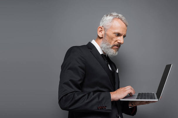 middle aged businessman in suit using laptop with blank screen isolated on grey  - Foto, afbeelding