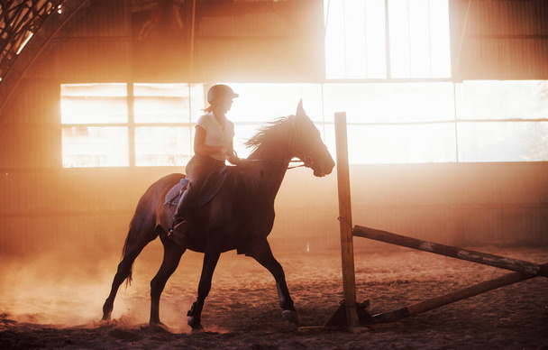 Majestic image of horse silhouette with rider on sunset background. The girl jockey on the back of a stallion rides in a hangar on a farm. - Photo, image