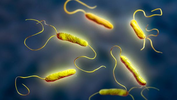 Bakterie Stenotrophomonas maltophilia, ilustracja 3D. Bakterie Gram-ujemne wywołujące zakażenia szpitalne, zapalenie wsierdzia, zakażenia ran, bakterie i inne - Zdjęcie, obraz