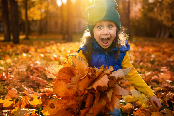 Emotional lifestyle portrait of adorable cheerful 4 years old baby girl in colorful clothes playing with dry fallen autumn leaves in golden park at sunset with beautiful sunbeams falling through trees - Photo, image