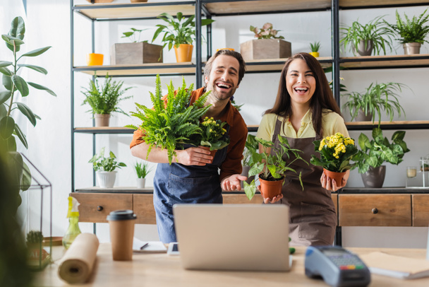Positive florists in aprons holding plants near laptop in flower shop  - Fotografie, Obrázek
