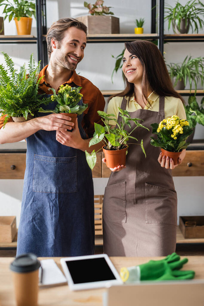 Floristas positivos sosteniendo plantas y mirándose en la florería  - Foto, Imagen