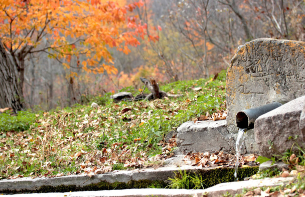 Sauberes und frisches Bergwasser. Die Saison ist Herbst. - Foto, Bild