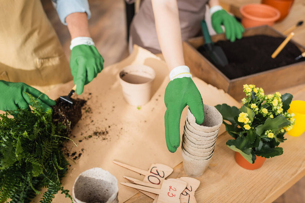 Vue recadrée des fleuristes dans les gants travaillant avec des plantes près des pots de fleurs et les étiquettes de prix dans la boutique  - Photo, image