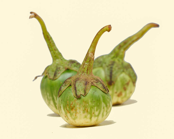 Баклажан (Solanum melongena, L.) является одним из овощей в форме фруктов. Фруктовые растения используются в качестве овощей. Зеленый баклажан круглый и мини имеет другой вкус, чем другие баклажаны. - Фото, изображение