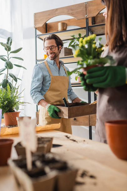 Smiling florist in gloves holding box with ground near blurred colleague and plants in shop  - Foto, Bild
